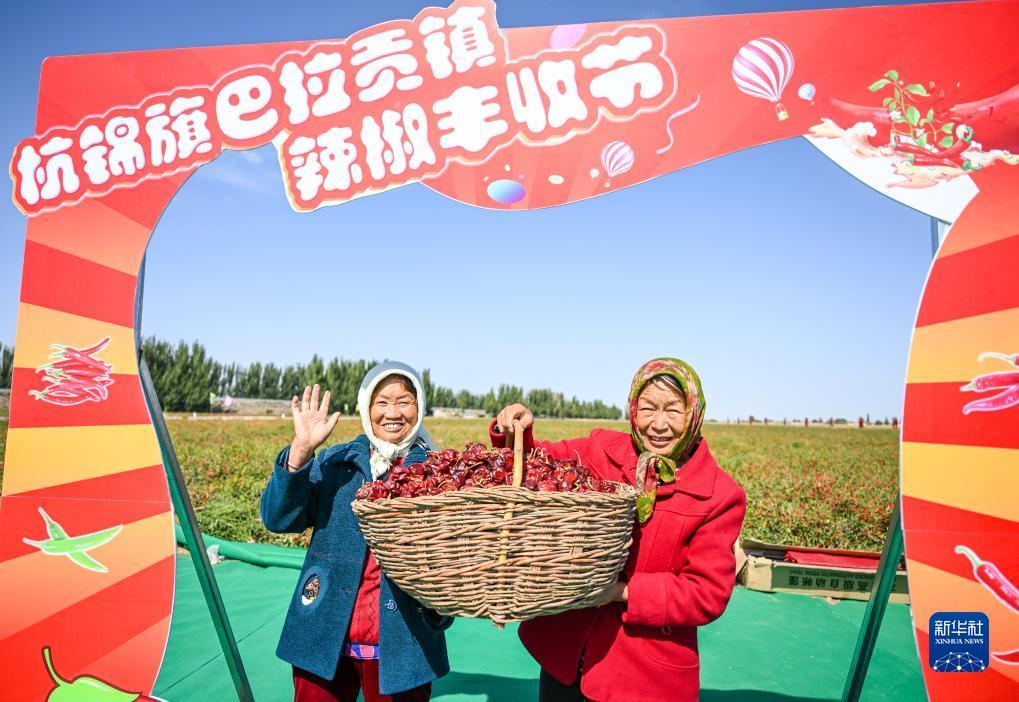 有森林游戏的游戏平台
